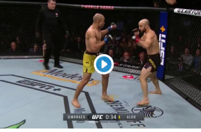 Jose Aldo vs Marlon Moraes – UFC 245