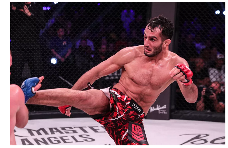 Gegard-Mousasi-middle-Kick