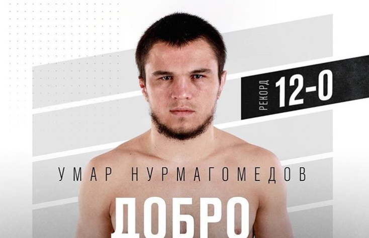 Umar Nurmagomedov débutera à l'UFC 249