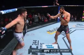 Dominick-Reyes-documentaire-UFC