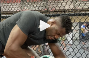 évolution-francis-ngannou-mma