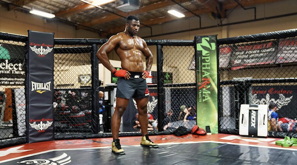 l'entrainement de ngannou pour rozenstruik