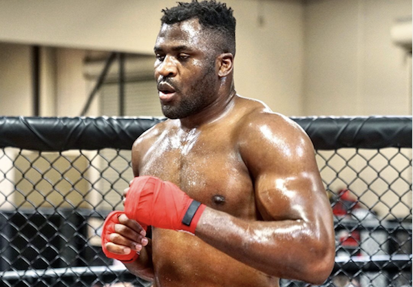 Francis Ngannou et son évolution en MMA