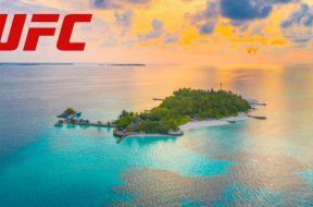 ufc-fight-island