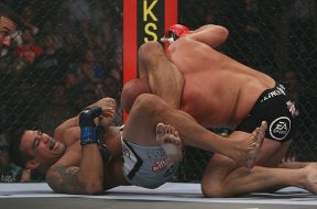 fedor-werdum