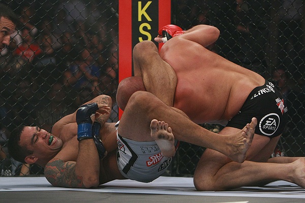 fedor werdum