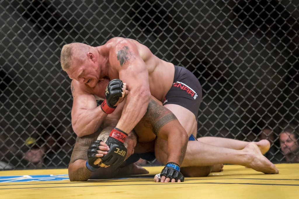 Le Bellator veut Brock Lesnar