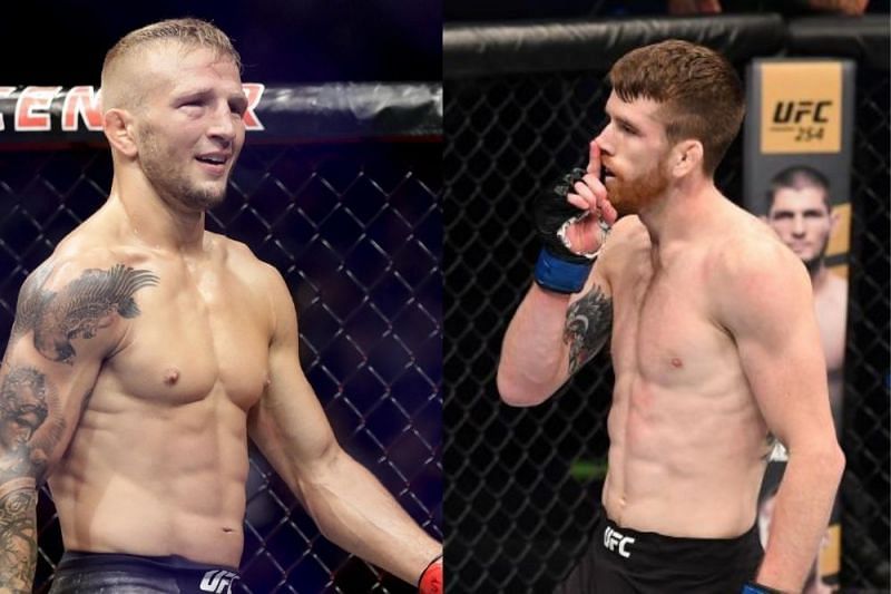 sandhagen-dillashaw