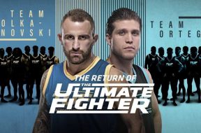 Ou-et-quand-regarder-The-Ultimate-Fighter-29-et-tous (1)