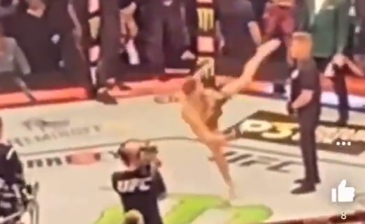 conor-mcgregor-head-kick