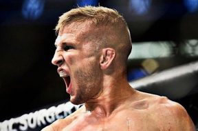 TJ-Dillashaw (1)