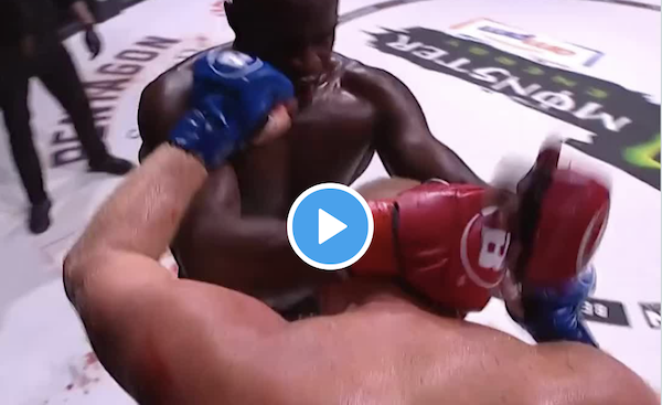 cheick kongo