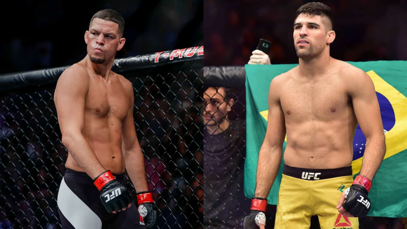 Nate-Diaz-Vicente-Luque-UFC