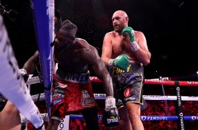 fury-wilder-3-boxe