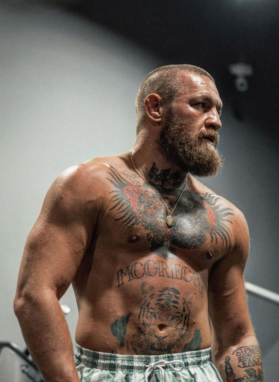 Conor McGregor Affiche Un Physique Extrmement Massif Avant Son Retour