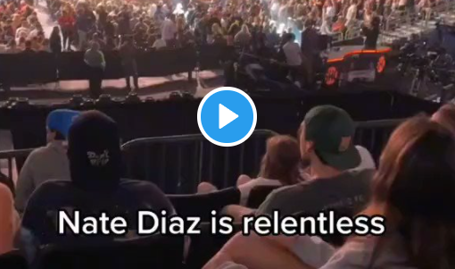 nate diaz