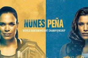 amanda-nunes-julianna-pena-revanche