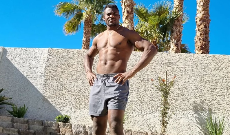 ngannou critique medias france