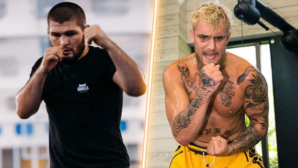 khabib jake paul