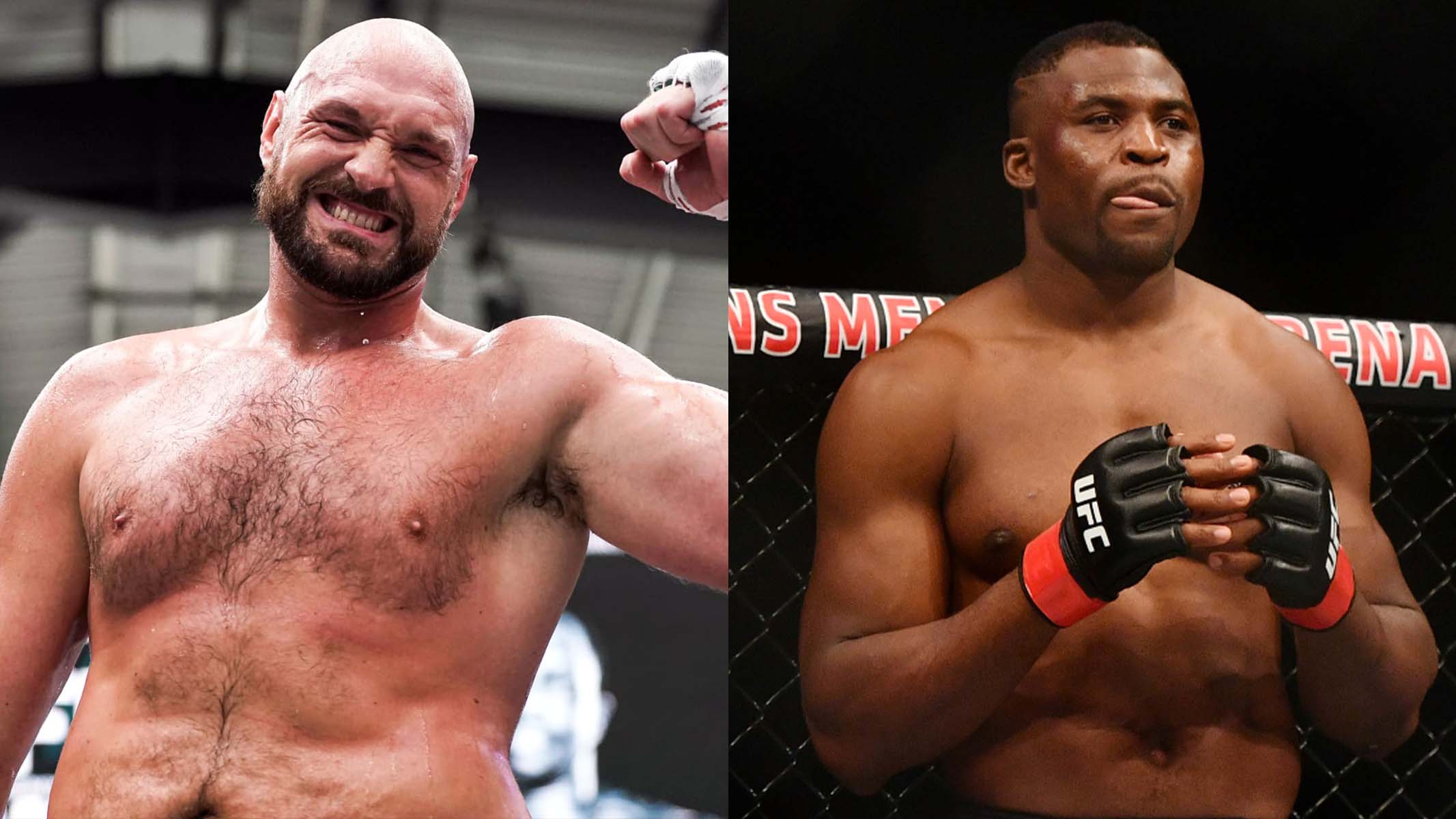 tyson fury francis ngannou