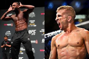 UFC-Dillashaw-Sterling