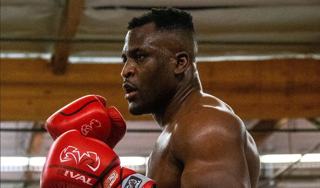 francis ngannou