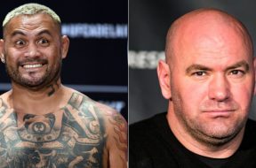 mark-hunt-dana-white