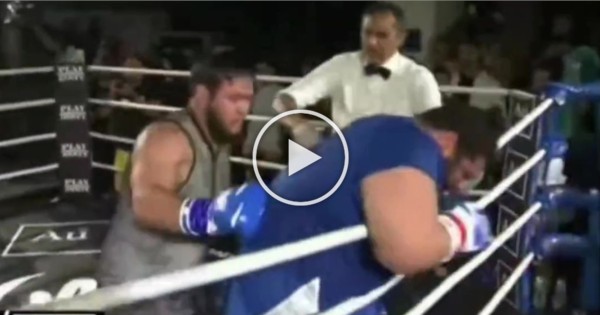 Le 'Hulk Iranien' se fait détruire dès le 1er round pour ses débuts en boxe 