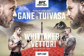 ufc-paris-gane-tuivasa-resultats