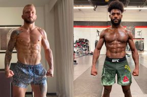 UFC-Dillashaw-Sterling