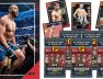 carte-ufc-panini