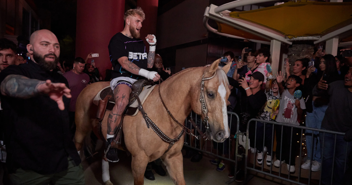 Jake Paul arrive sur un cheval à son entraînement ouvert au public
