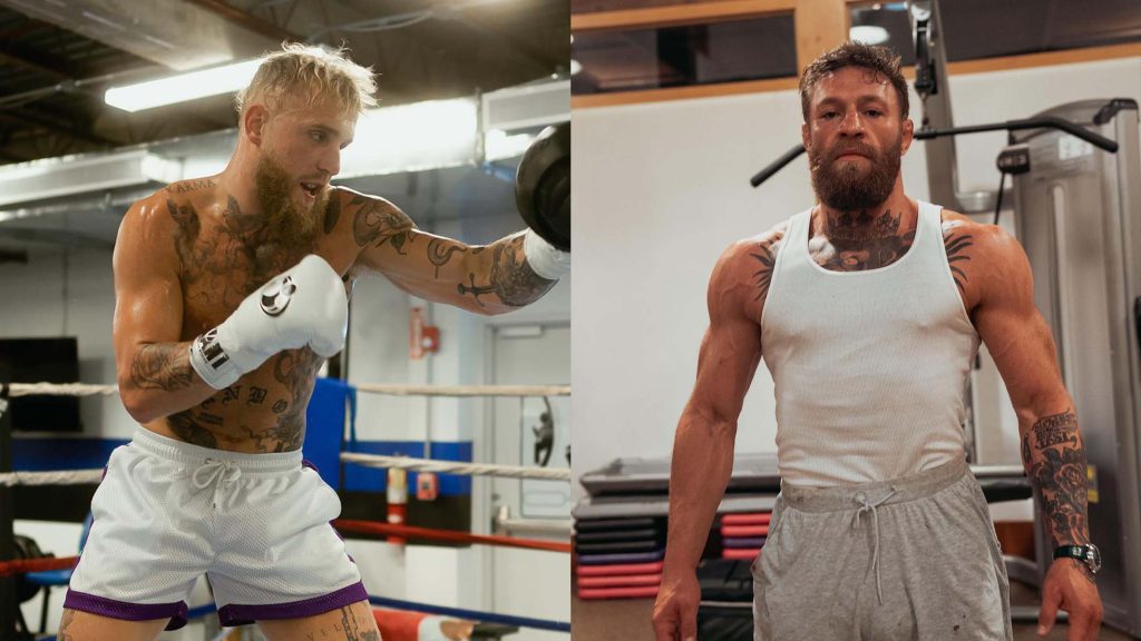 jake paul conor mcgregor