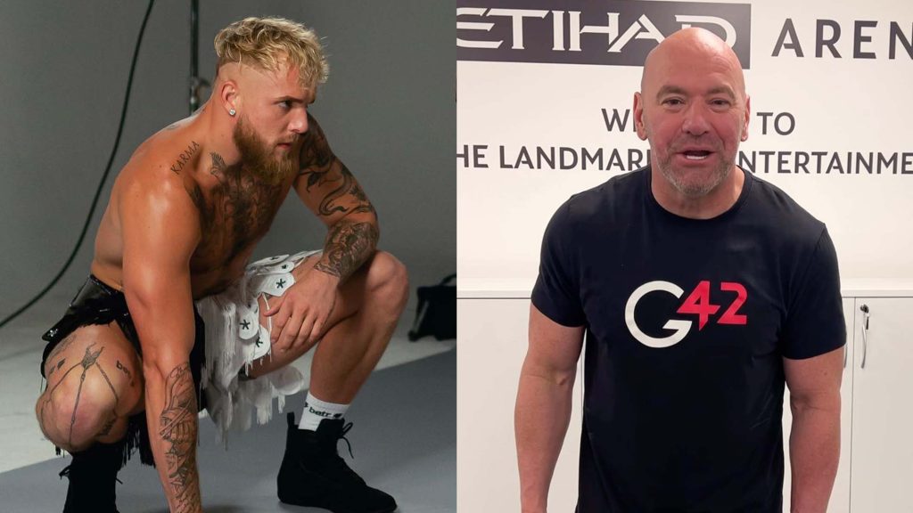 jake paul dana white