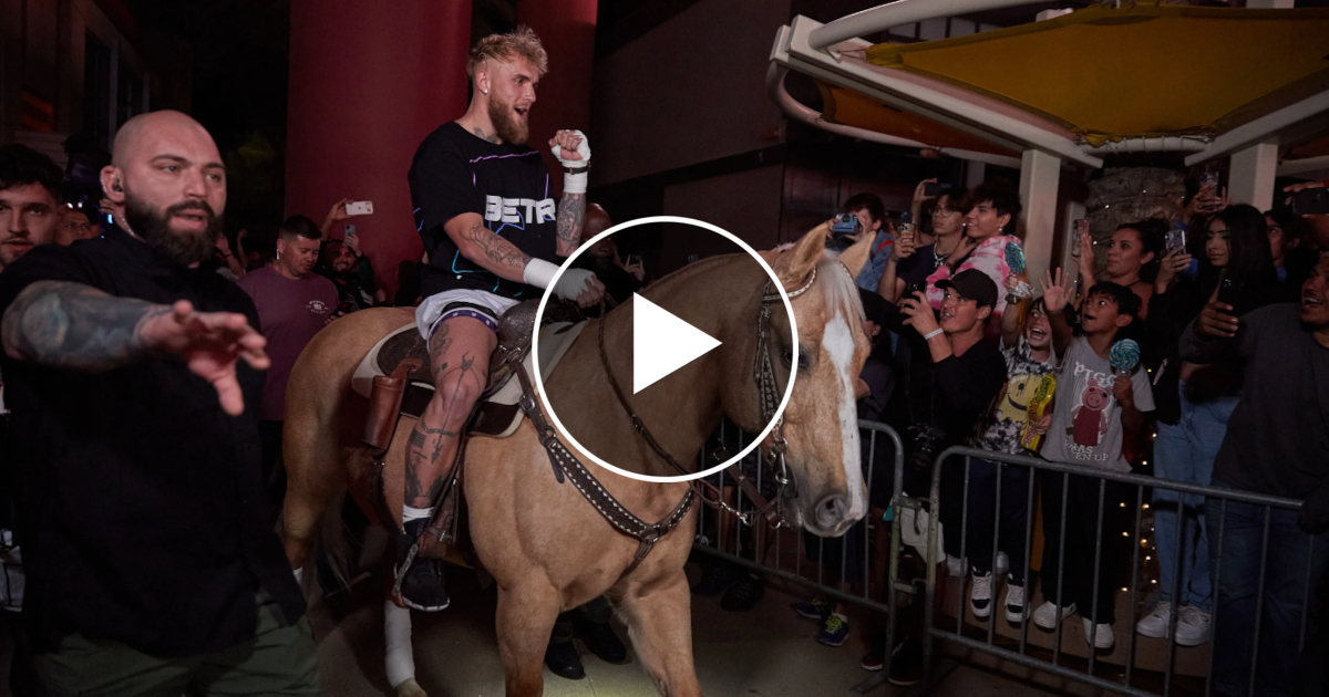 Jake Paul arrive sur un cheval à son entraînement ouvert au public