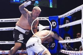 Mark Hunt gagne par KO