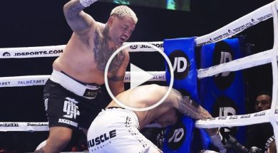 Mark Hunt gagne par KO