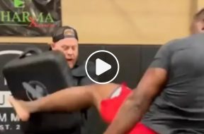 Ngannou Kick