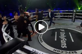 mma-bagarre-bkfc