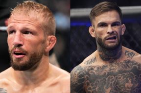 tj-dillashaw-cody-garbrandt