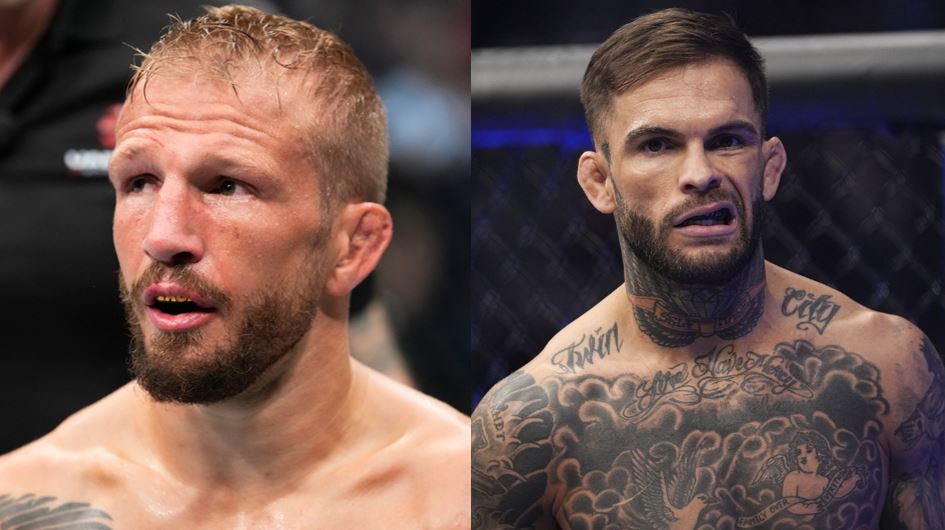 tj-dillashaw-cody-garbrandt