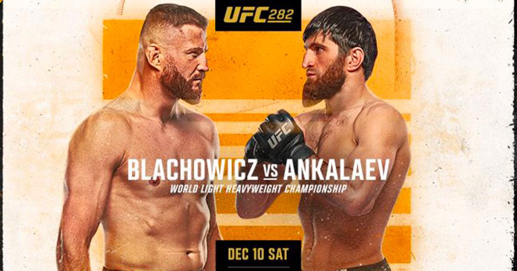 Carte UFC 282