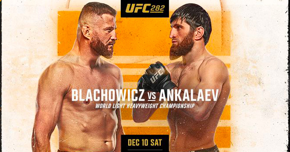 Carte UFC 282
