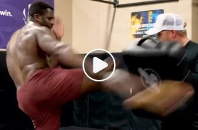 Francis-Ngannou-UFC