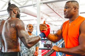 Ngannou-Wilder-Boxe