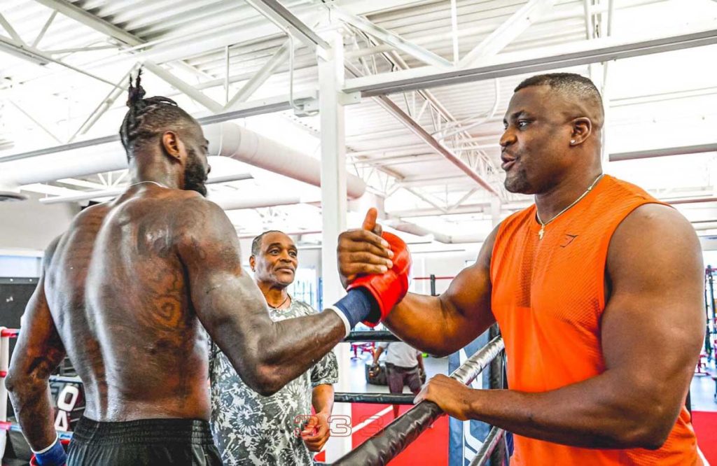 francis ngannou deontay wilder