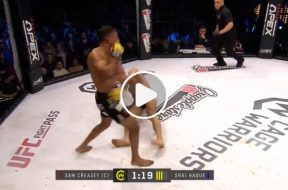 mma-KO-cage-warriors