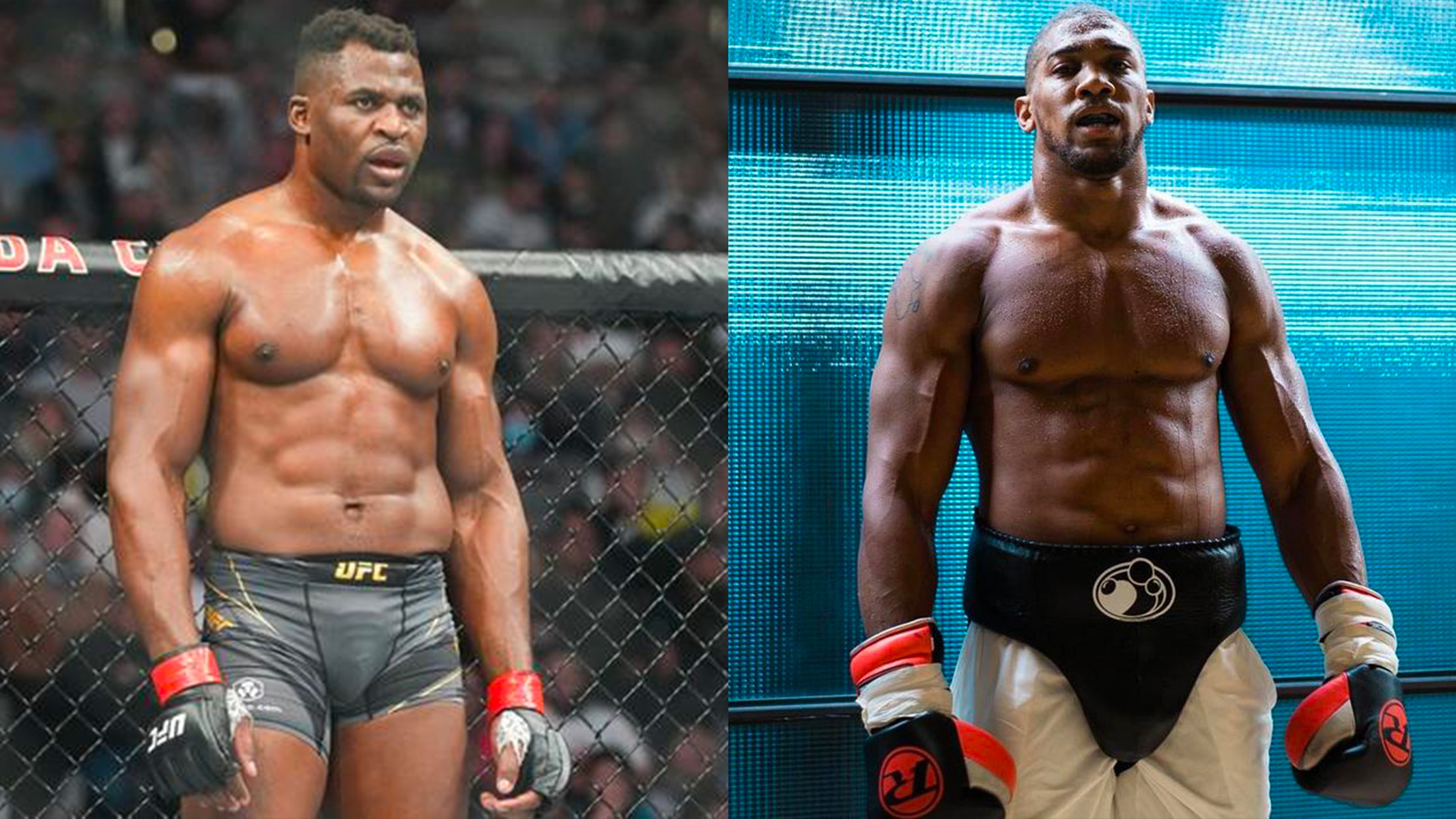 Ngannou Joshua