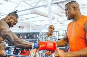francis-ngannou-deontay-wilder-boxe-mma