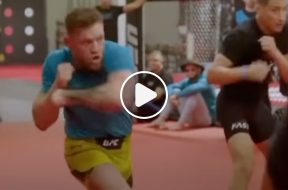 Conor-McGregor-Vidéo